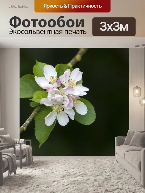 Фотообои Цветут цветы