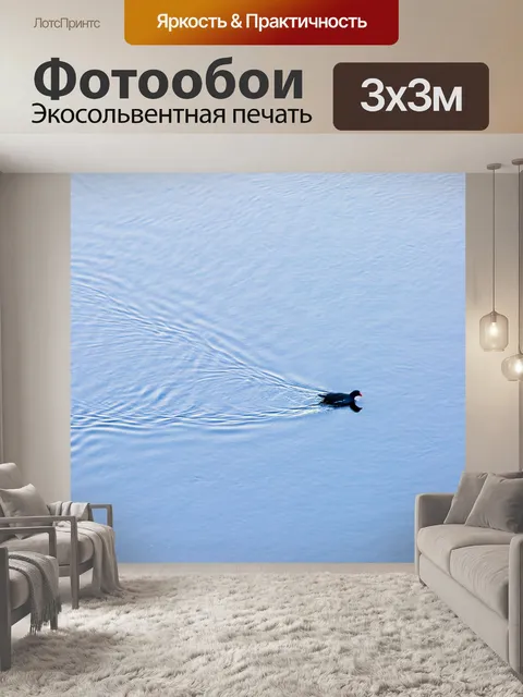 Фотообои Птица плавает в озере