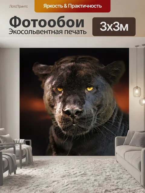 Фотообои Черная пантера