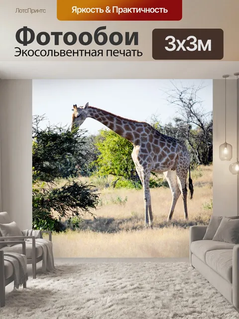 Фотообои Жирафа