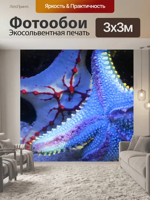 Фотообои морские звезды в аквариуме бак