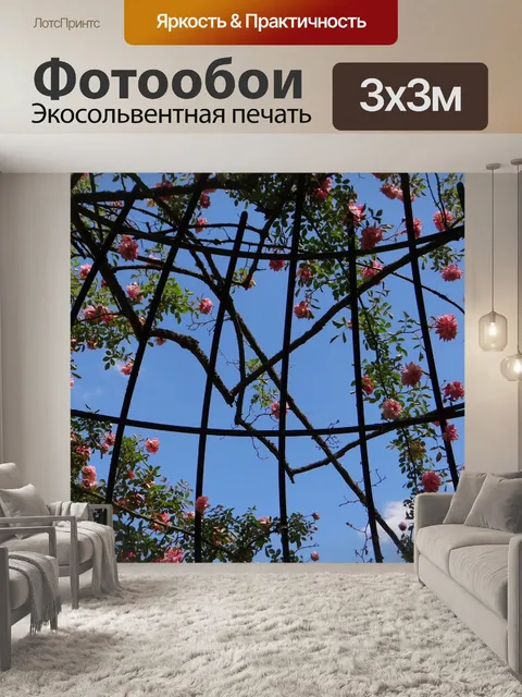 Фотообои Сад роз