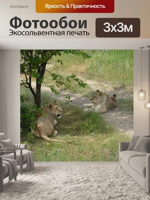 Фотообои Крым