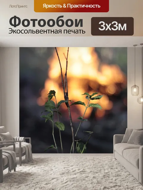 Фотообои Лес