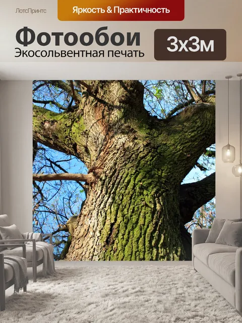Фотообои дерево мхом