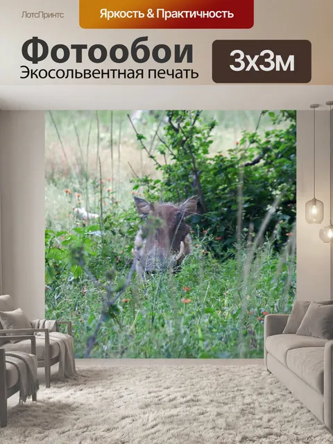 Фотообои серый бородавочник в тени растительности