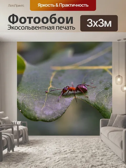 Фотообои Лист