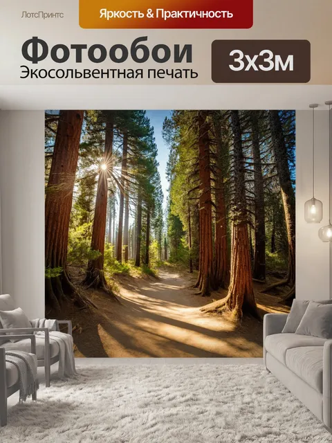 Фотообои лесная тропа, окруженная высокими соснами, ведущая к солнечному пляжу пицунды
