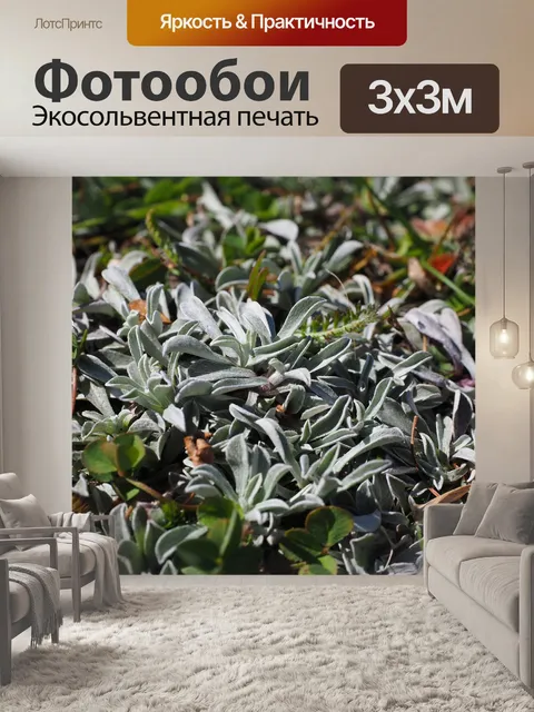 Фотообои Листья