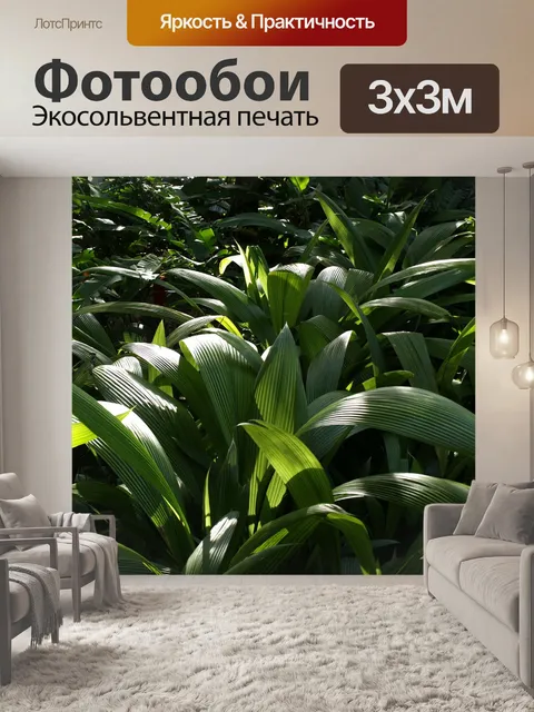 Фотообои Тропический