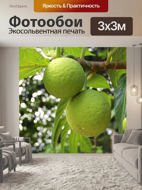 Фотообои Фрукты