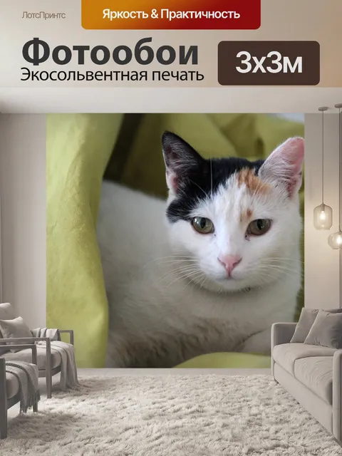 Фотообои Кошка
