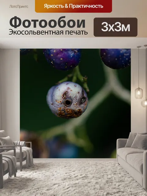 Фотообои Растения