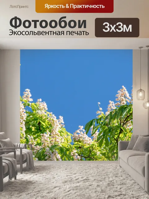 Фотообои Конский каштан в цвету