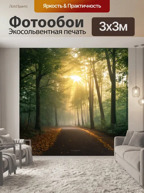 Фотообои утро: лесная тропа, укрытая утренним туманом, где солнечные лучи пробиваются сквозь листву деревьев