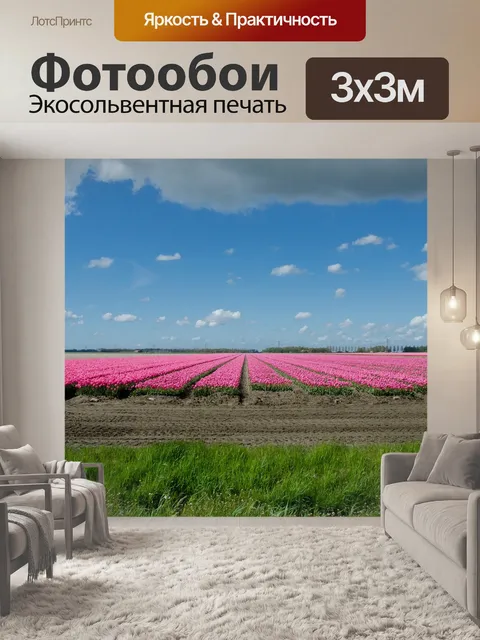 Фотообои Тюльпан