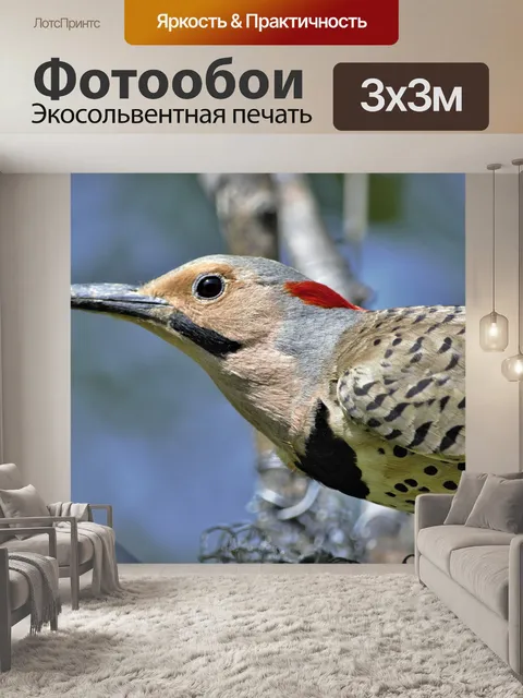 Фотообои Мерцание