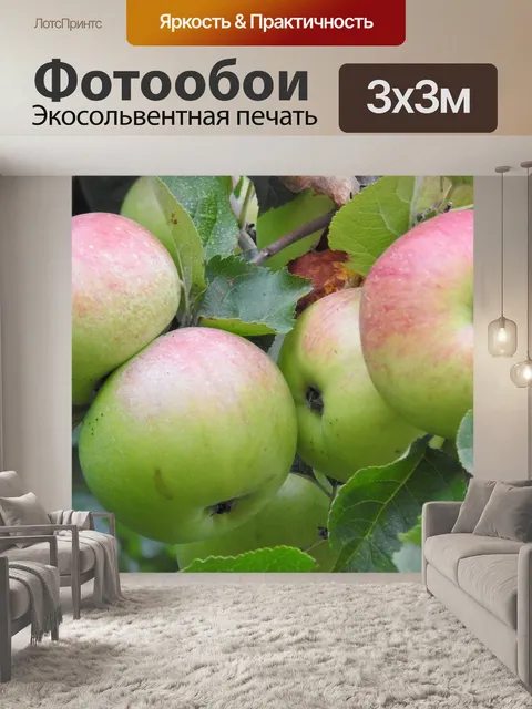 Фотообои Яблоки