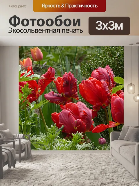 Фотообои Цветок