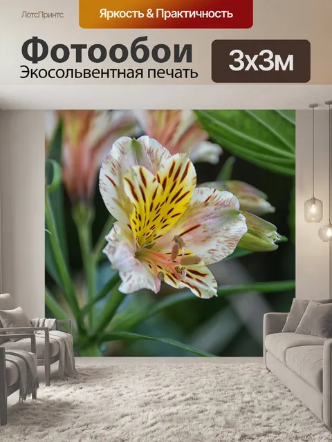 Фотообои японские лилии