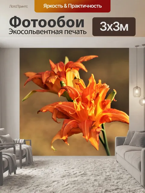 Фотообои Две оранжевые дневные лилии в сумерках