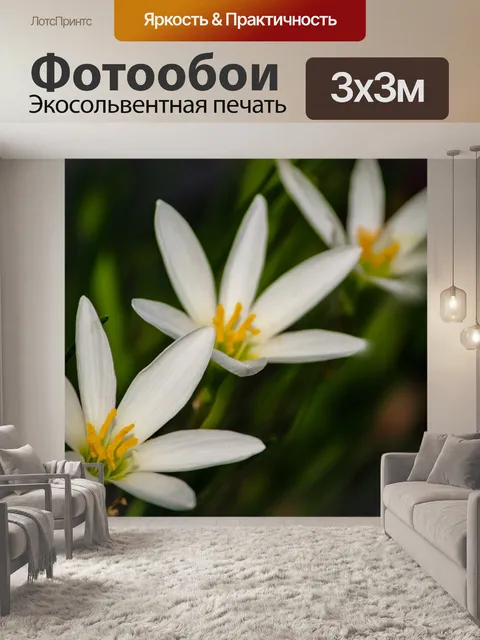 Фотообои Белая лилия