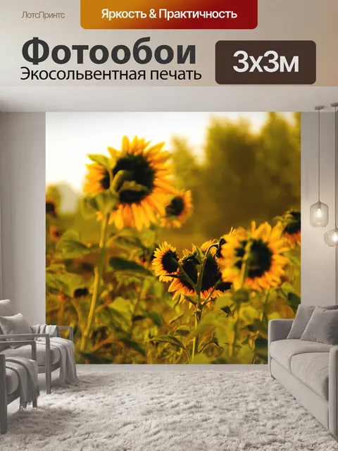 Фотообои Подсолнух осень природа цветы