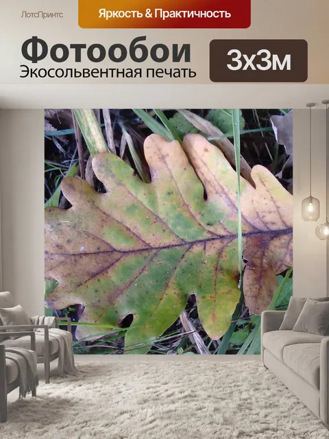 Фотообои Лист