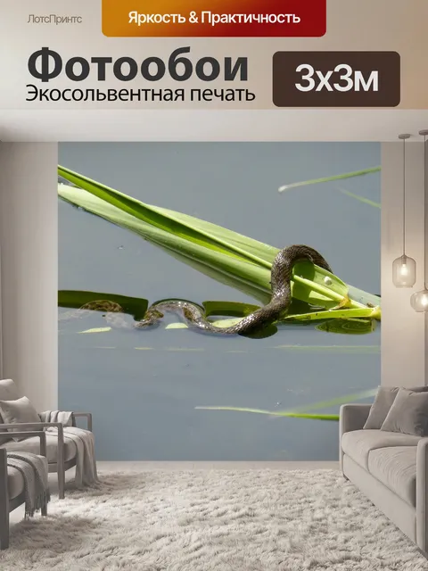 Фотообои Змея