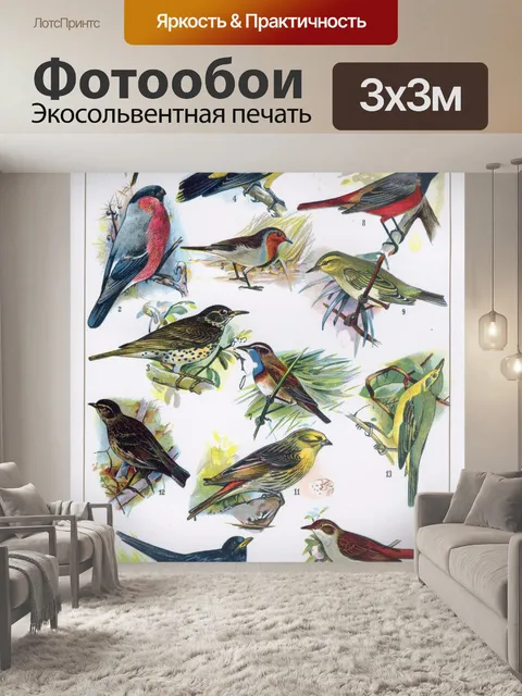 Фотообои Птицы винтаж искусство старые