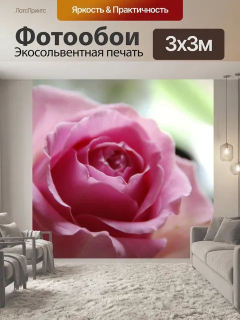 Фотообои Розовые розы