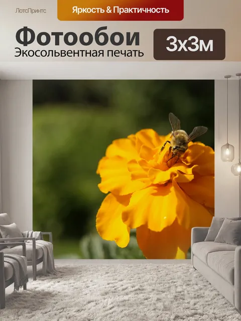 Фотообои Студентки