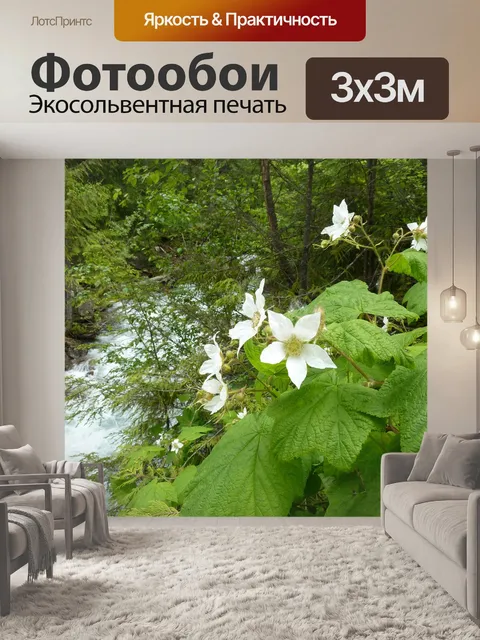 Фотообои Ежевика