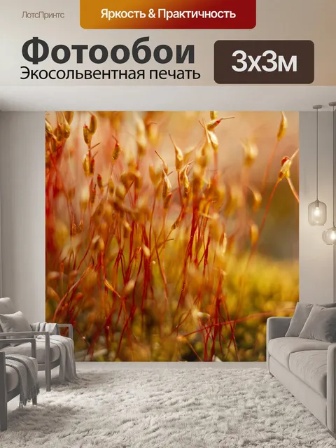 Фотообои Вниз