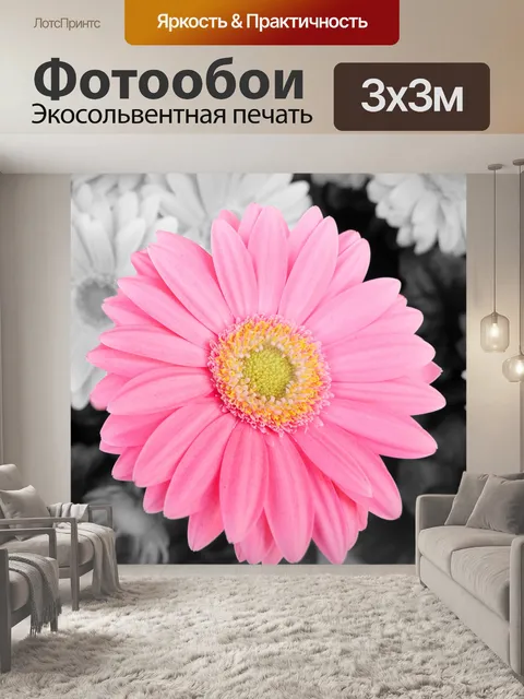 Фотообои Цветок Розовый Гербера Дейзи