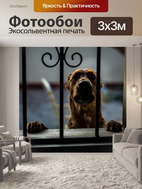 Фотообои Собака