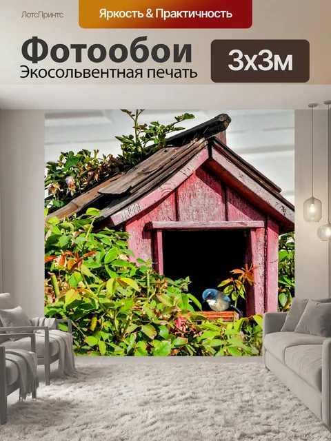 Фотообои Синяя птица в красной птице
