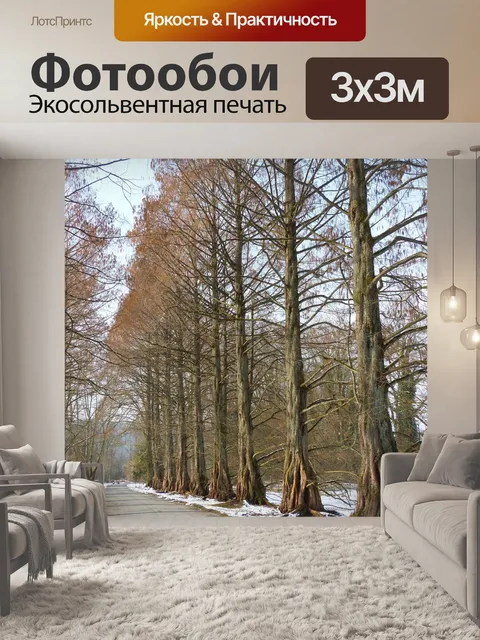 Фотообои Проспект