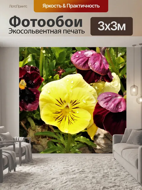 Фотообои Желтые и фиолетовые анютины глазки