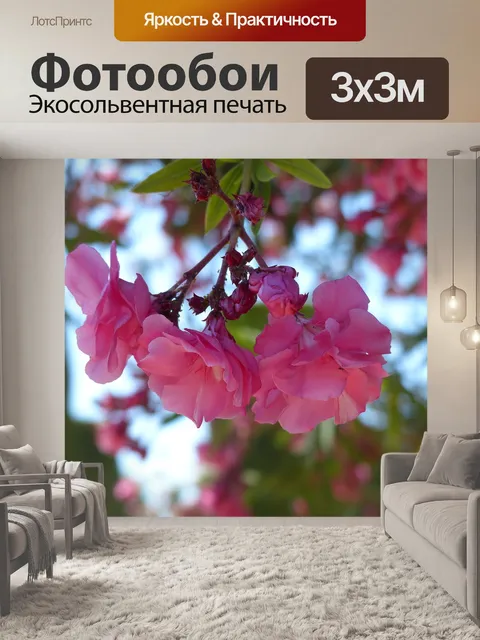 Фотообои Кустовая роза