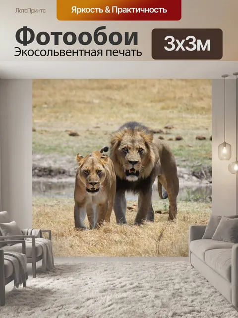 Фотообои Лев
