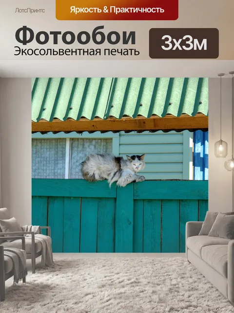 Фотообои Кот