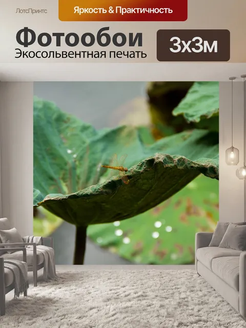 Фотообои Листьев лотоса