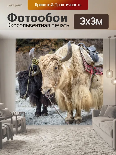 Фотообои Манали