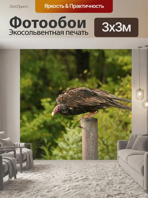 Фотообои Взлет в Турции