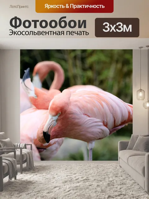 Фотообои Фламинго