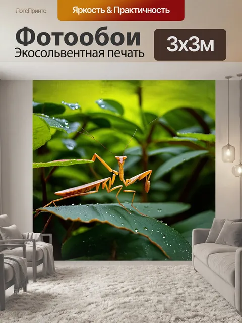Фотообои на фоне густого зеленого леса