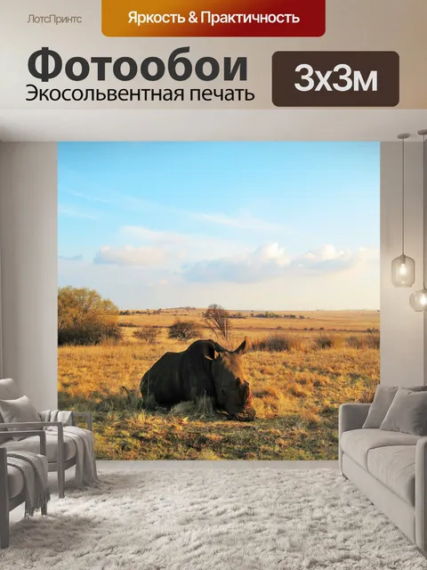 Фотообои конце второй половине носорог