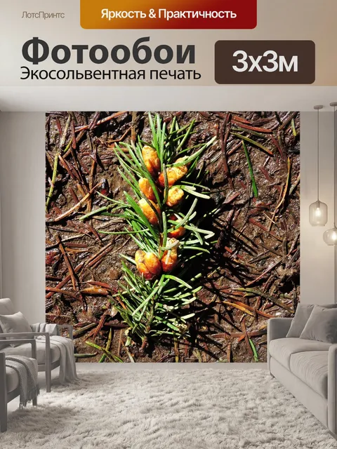 Фотообои Сосна