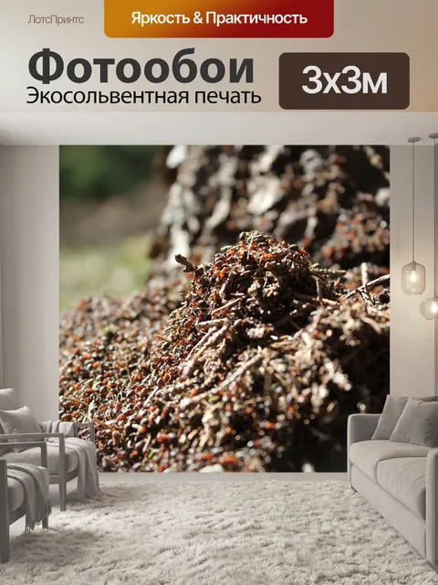 Фотообои Муравейник